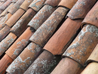 tiles on the roof