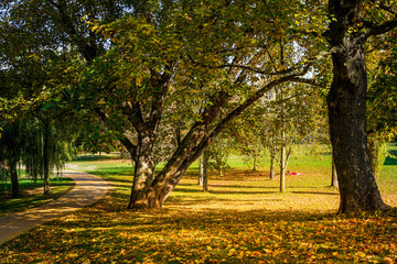 Park im Herbst