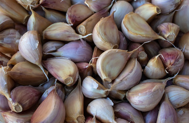  Autumn harvest. Lithuanian agriculture and farming - autumnal pumpkins, zucchini, corn, berries, bean, garlic,dill .