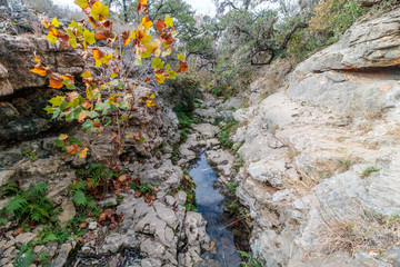 creek at riemers ranch