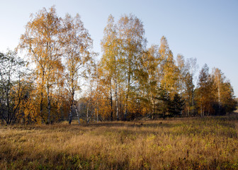 Fototapeta premium Природа/Nature