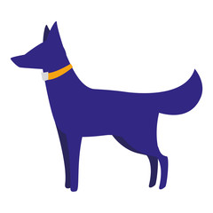 dog icon image