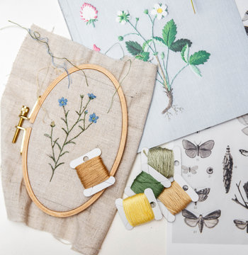 Embroidery in process with hoop and sewing threads on table. Embroidered flax botanical illustration.