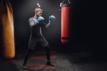 Young male boxer hitting punching bag on black background in gym. © Parilov