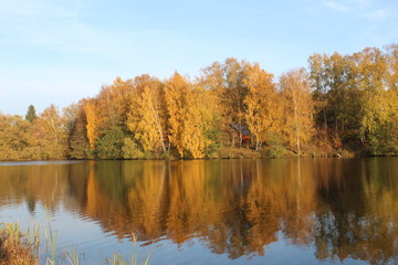 Fototapeta premium autumn landscape with lake and trees