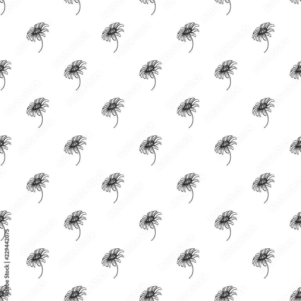 Poster bio chamomile pattern seamless repeat background for any web design