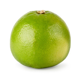 Pamela green on a white, isolated. close up