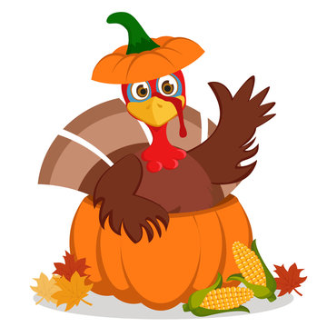 Turkey sitting in a pumpkin and waving his wing on a white.