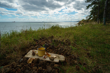 Dry autumn fallen cones lie on the needles. Background, texture.sea scenery with beautiful sky.metallic yellow tourist coffee pot