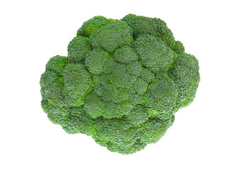 Fresh broccoli on a white background. Green broccoli closeup isolated on a white background. Top view.