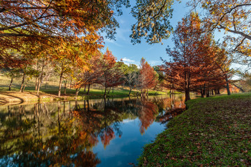 henderson creek 