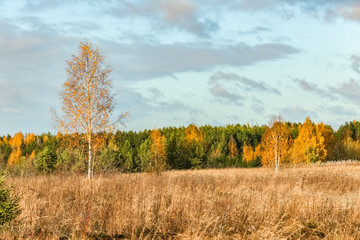 Fototapeta premium Russian North. Autumn