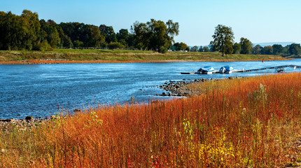 Niedrigwasser auf der Elbe bei Dresden