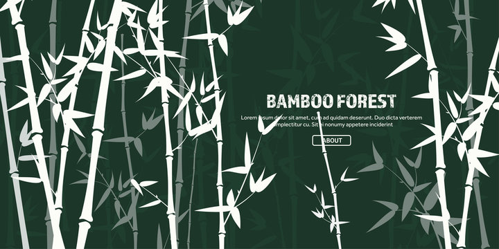 Bamboo forest set. Nature. Japan., China. Plant. Green tree with leaves. Rainforest in Asia. © 32 pixels