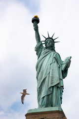 Fototapeta premium Bird and statue of liberty