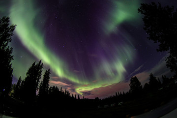 Fototapeta na wymiar Aurora Borealis