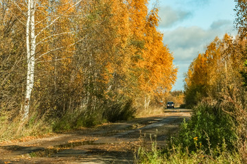 Fototapeta na wymiar autumn road