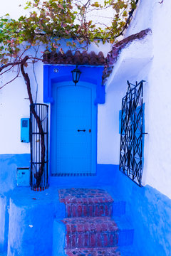 Garden in front of the house in the blue medina Chefchaouen, Morocco in Africa