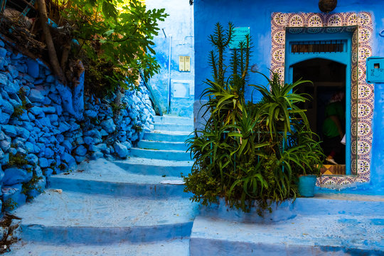 Garden in front of the house in the blue medina Chefchaouen, Morocco in Africa