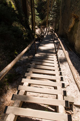 Fototapeta na wymiar Wooden stairs with a woos rail between the rocks.