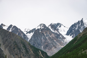 Snowy mountain top behind hill with forest under cloudy sky. Rocky ridge in overcast weather. White snow on glacier. Atmospheric landscape of majestic nature.