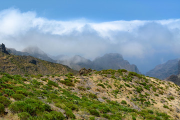 Naklejka na ściany i meble landscapes of Tenerife