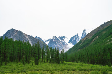 Obraz premium Snowy mountain top behind hill with forest under cloudy sky. Rocky ridge in overcast weather. White snow on glacier. Atmospheric landscape of majestic nature.