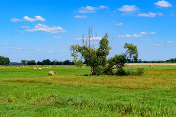 landscapes of Poland