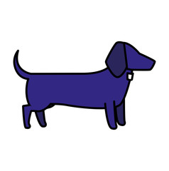 dog icon image