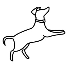 dog icon image