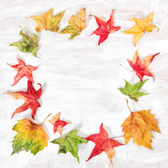 Naklejka na ściany i meble Red yellow green leaves wooden background Autumn composition