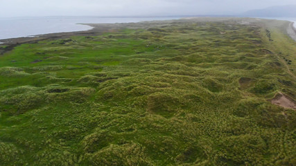 Aerial view over green grassy dunes at the Atlantic ocean