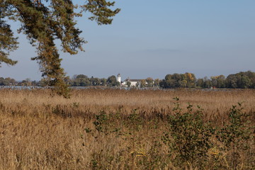 Obraz premium Fraueninsel at Lake Chiemsee behind reed grass