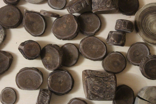 Driftwood round pieces for art and decoration