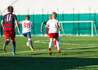 Junior football match. Soccer game for youth players. Boys in blue and white uniform playing soccer match. Football stadium and grassy field in the background