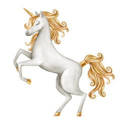 Naklejka na ściany i meble watercolor unicorn illustration, fairy tale creature, gold curly hair, fantasy animal clip art, isolated on white background
