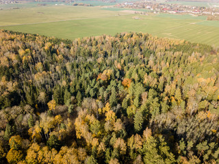 drone image. aerial view of rural area in autumn with yellow and red colored trees from above