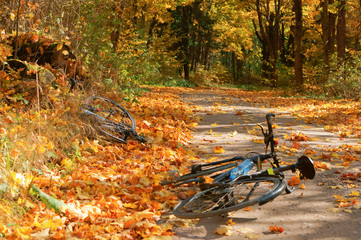 Autumn landscape. Forest road in autumn leaves. Two bikes are on the road.
