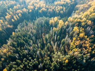 Fototapeta na wymiar drone image. aerial view of wavy river in autumn colored forest
