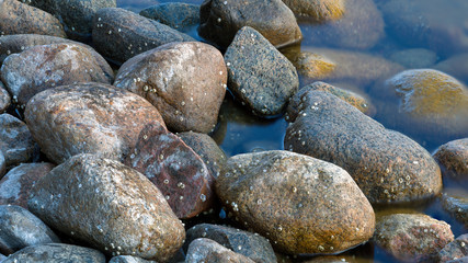 Pebbles at the coastline of Bogesundslandet, near Stockholm, Sweden