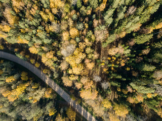 drone image. aerial view of rural area with gravel road in autumn colored fields and forests