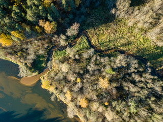 drone image. aerial view of wavy river in autumn colored forest