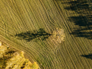 drone image. aerial view of rural area with fields and forests in autum