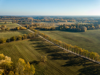 Fototapeta na wymiar drone image. aerial view of rural area with fields and forests in autum
