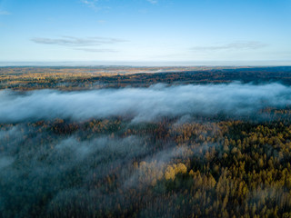 drone image. aerial view of rural area with fields and forests covered in mist