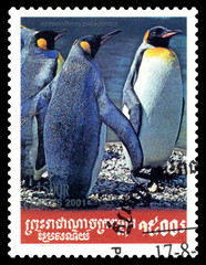 Postage stamp. Emperor penguin.