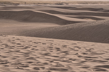 GREAT SAND DUNES NATIONAL PARK & PRESERVE COLORADO /  DUNES AMONG DIVERSITY / USA