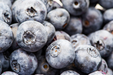 ripe blueberries close up on the whole frame