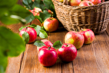 Naklejka na ściany i meble ripe apples on a wooden table in the garden