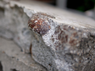 コンクリートから突出した石